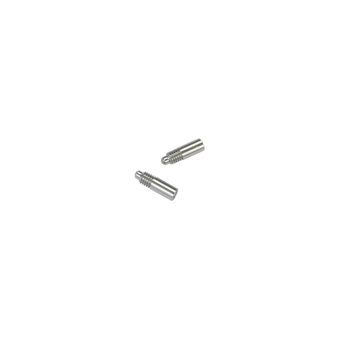 Serpent | Side bearing screw (2) F110 SF4 (SER411416)...