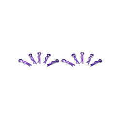 Small Body Clip 1/10 - Metallic Purple  (10)