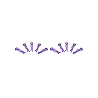 Small Body Clip 1/10 - Metallic Purple  (10)