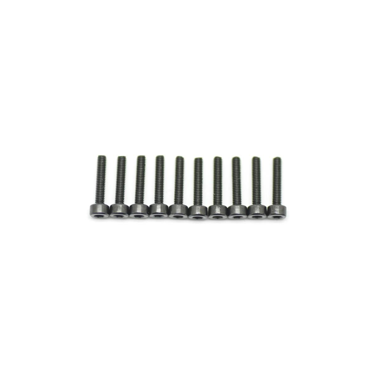 Screw allen cilinderhead M2.2x12 (10)