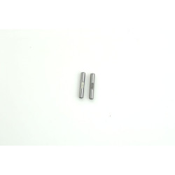Diffhub lock pin F110 (2)