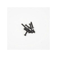 RH screw M3X14 (10)