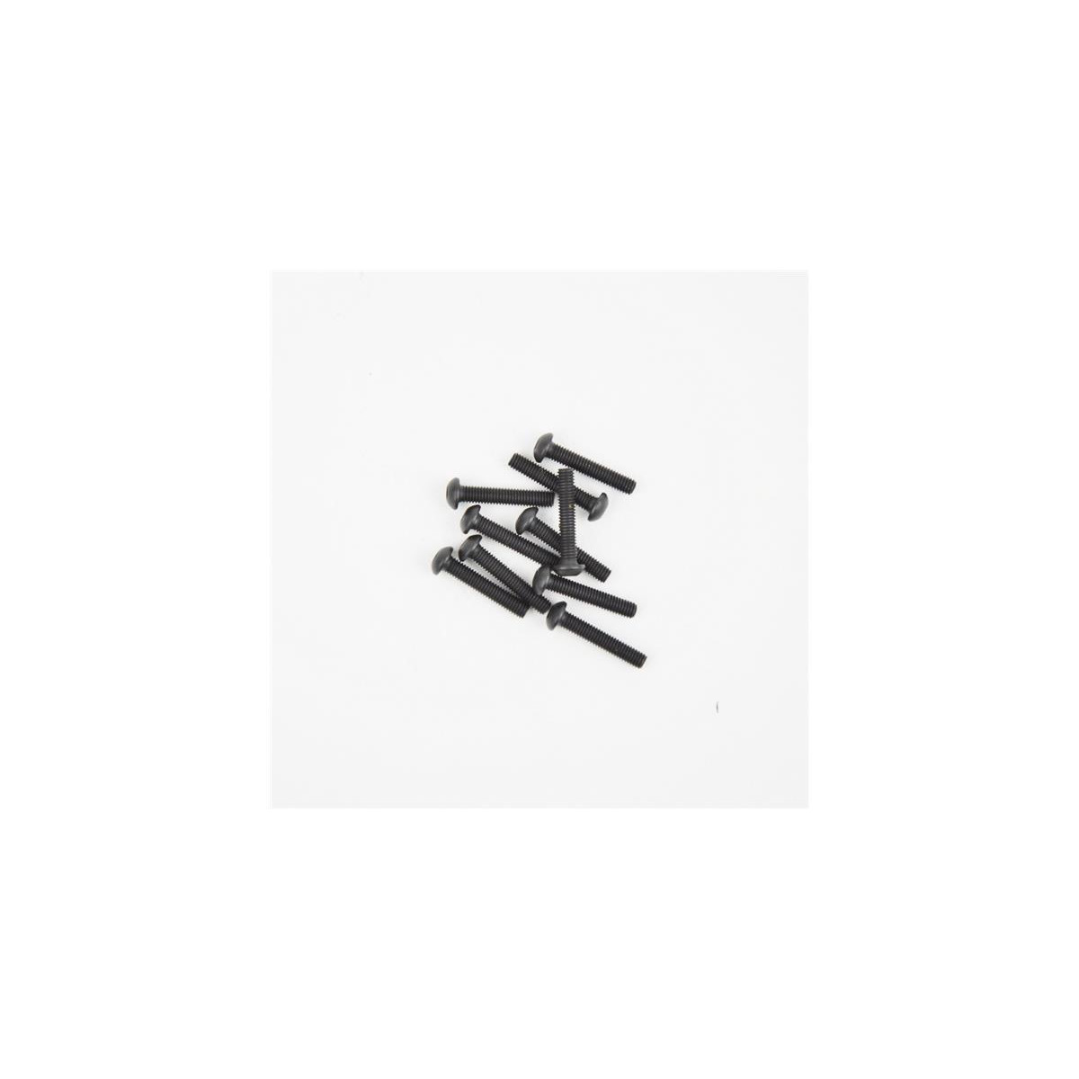 RH screw M3X16 (10)