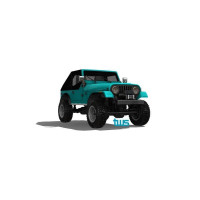 TWS 60100200 CJ7 kit (CTS chassis)