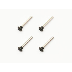 Clutch screw 4-pin (4)