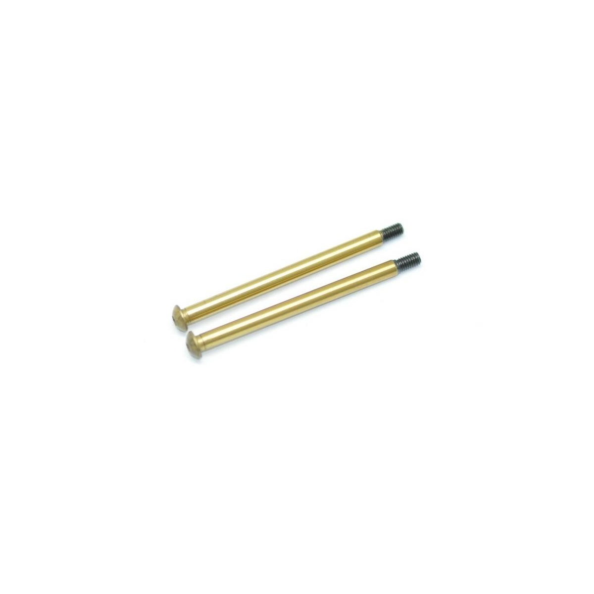 Serpent Hingepin rr outer TiN coated (2) SER600492