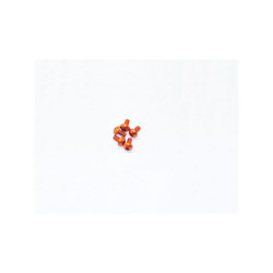 Alu Screw Allen Roundhead M2X4 Orange (7075) (5)