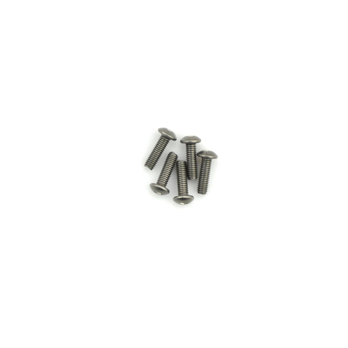 Titanium Screw Allen Round Head M3X10 (5)