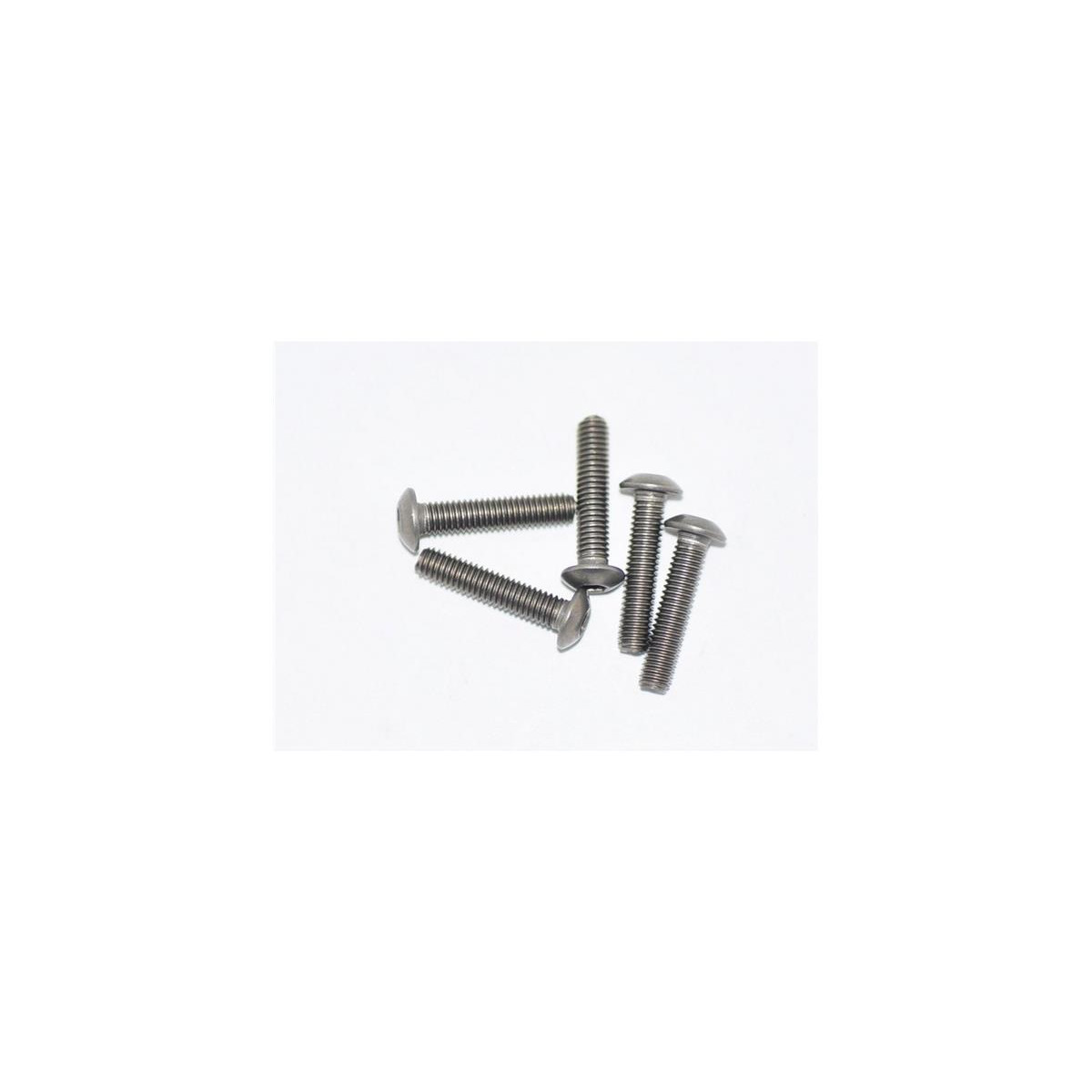 Titanium Screw Allen Round Head M3X14 (5)