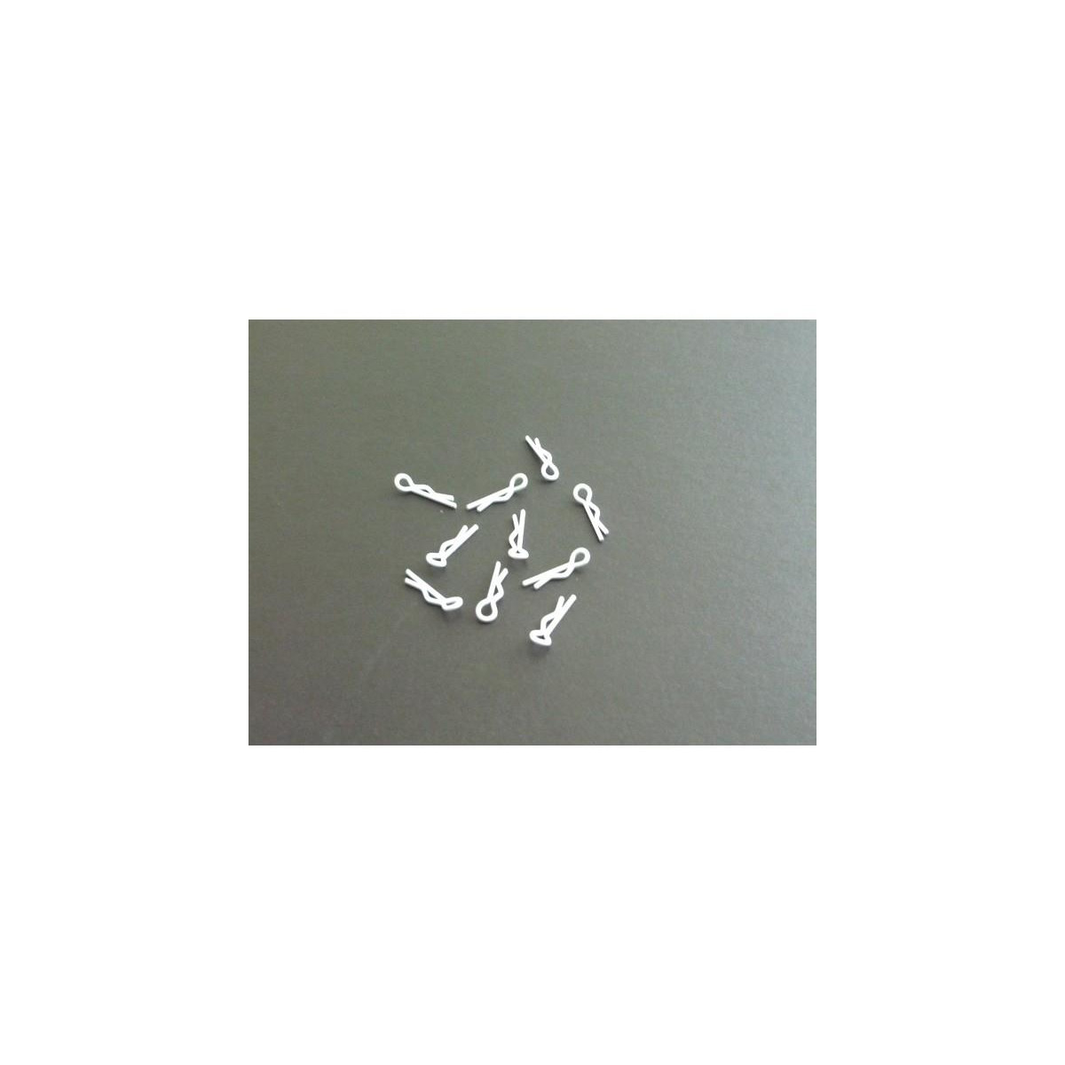 Xceed 103134 small body clip 1/10 - white  (10)