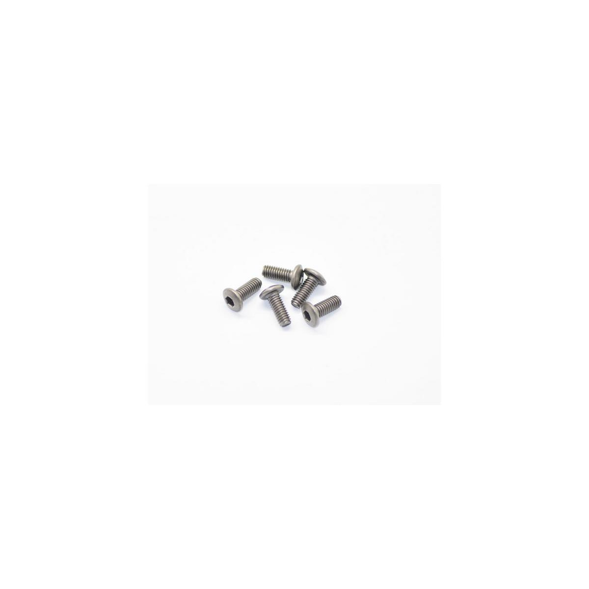 Titanium Screw Allen Round Head M4X10 (5)